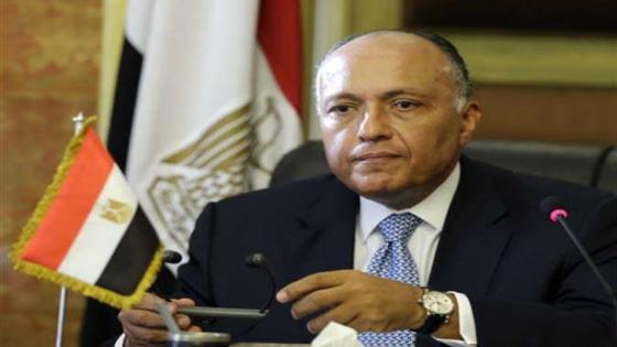 وزير الخارجية المصري يؤكد تأيد مصر للغارات الروسية في سوريا