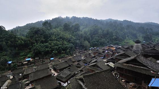 قرية صينية تستخدم عشبة سرية لتحديد جنس مواليدها