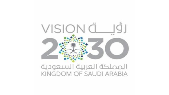 رؤية السعودية 2030 ، الأمير محمد بن سلمان يطلق رؤية المملكة 2030